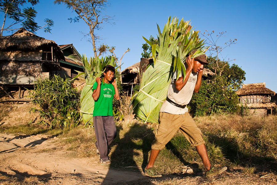  Konyak boys wearing tree leaves for wall and roof covering, Chingnyu